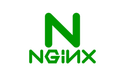 nginx logo